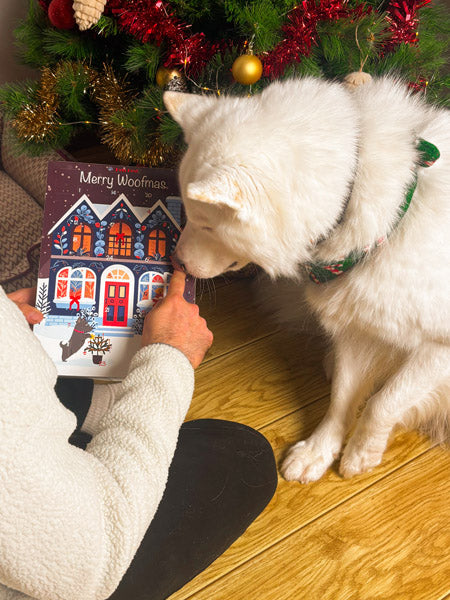 Pets-best-calendrier-de-l-avent-pour-chien-noel-friandises-premium-2025