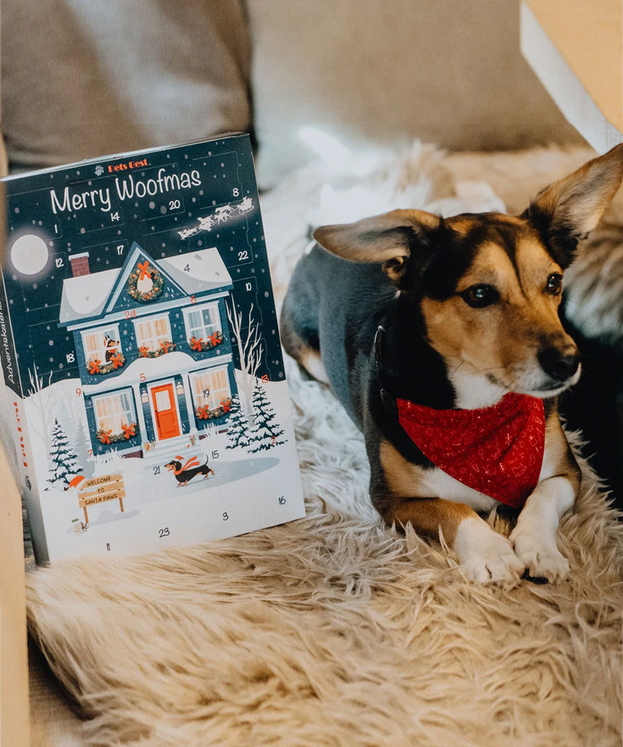 Pets-best-calendrier-de-l-avent-pour-chien-noel-friandises-premium-2026
