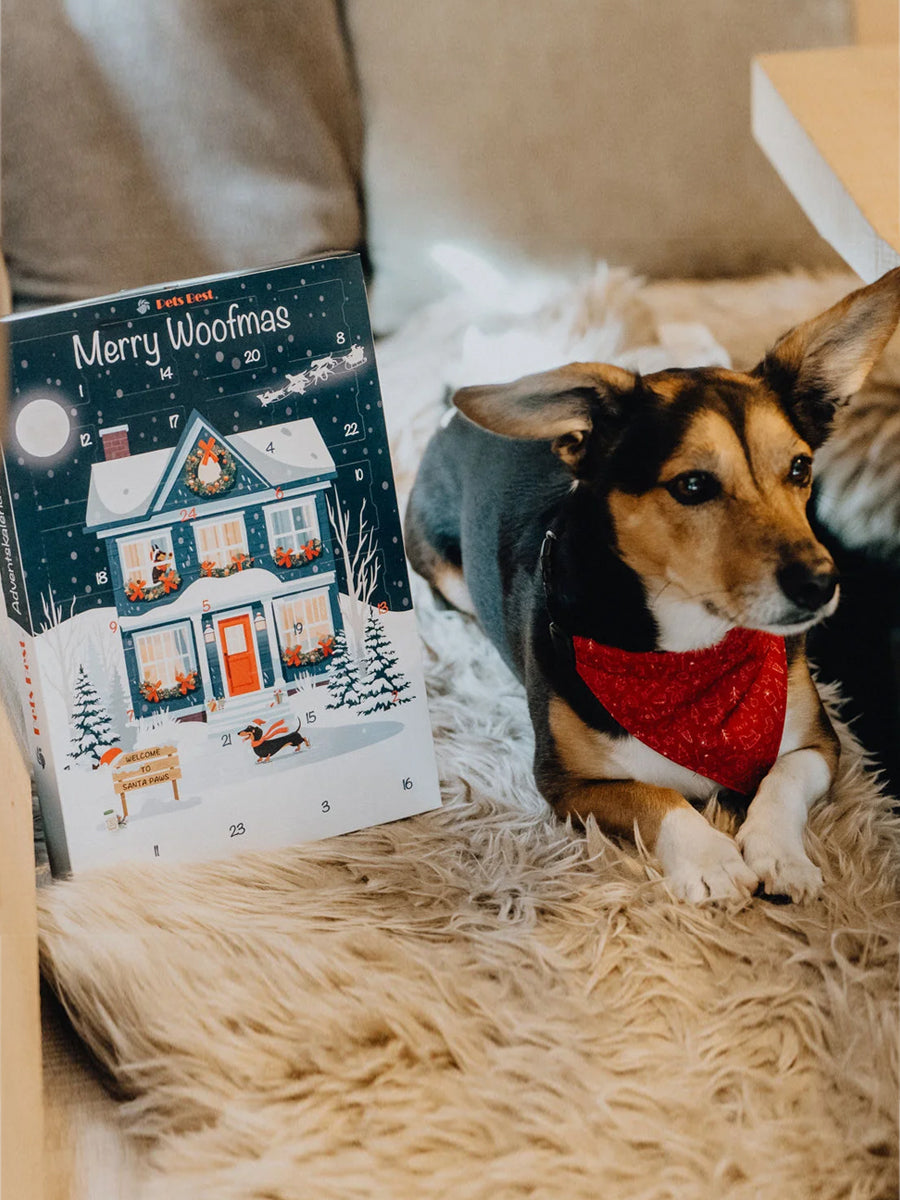 Pets-best-calendrier-de-l-avent-pour-chien-noel-friandises-premium-2026