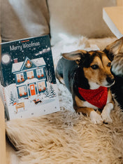 Pets-best-calendrier-de-l-avent-pour-chien-noel-friandises-premium-2026