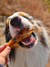 Pets-best-friandises-pour-chien-premium-pattes-de-canard