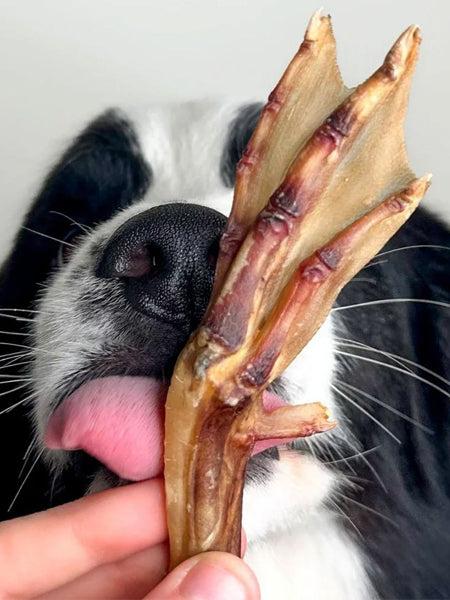 Pets-best-friandises-pour-chien-premium-pattes-de-canard