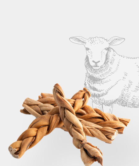 Pets-best-friandises-pour-chien-premium-peau-agneau-tressee