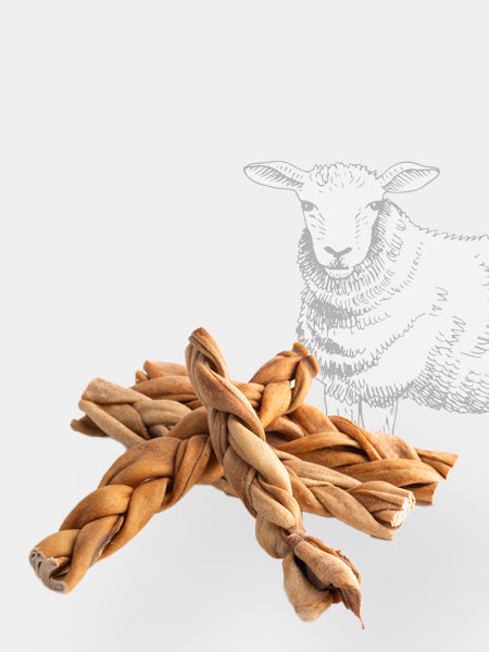 Pets-best-friandises-pour-chien-premium-peau-agneau-tressee
