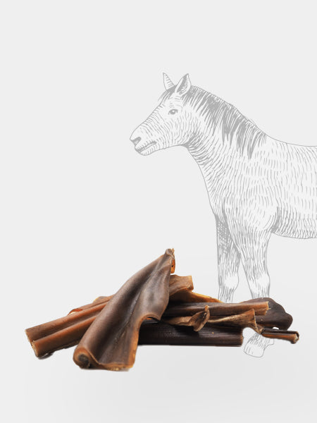 Pets-best-friandises-pour-chien-premium-peau-de-cheval