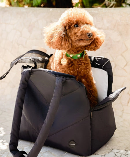 Pups-Bubs-Sac-de-transport-pour-chien-Destination-noir