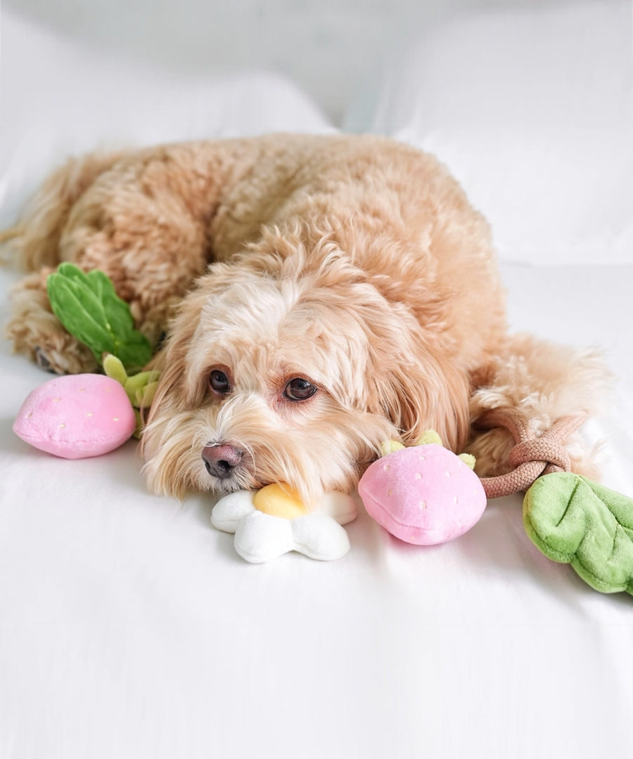 Pups-Bubs-jouet-en-corde-pour-chien-Strawberry-Vine