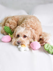 Pups-Bubs-jouet-en-corde-pour-chien-Strawberry-Vine
