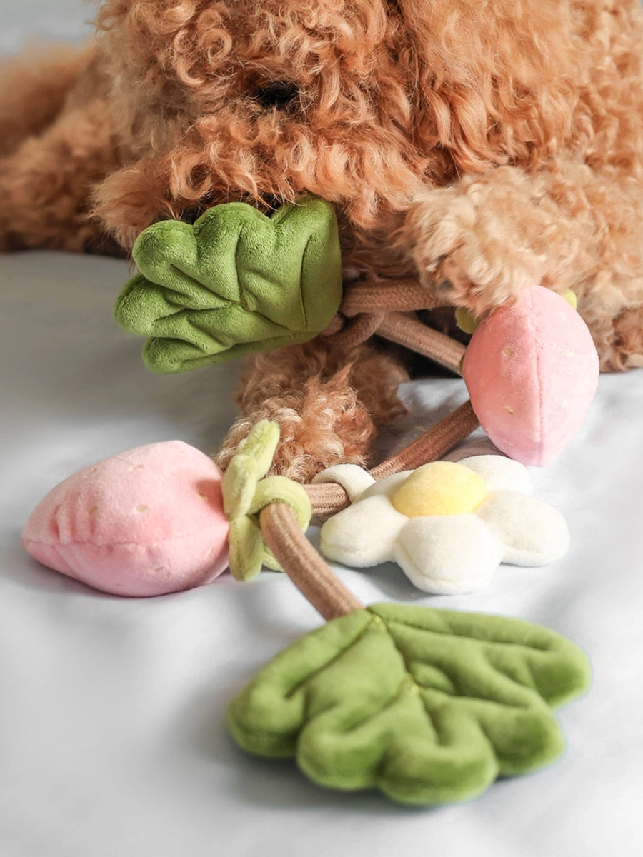 Pups-Bubs-jouet-en-corde-pour-chien-Strawberry-Vine