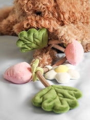 Pups-Bubs-jouet-en-corde-pour-chien-Strawberry-Vine