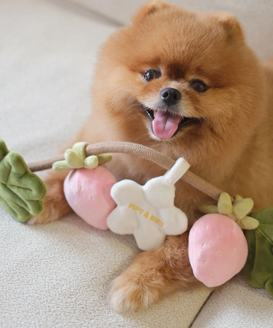 Pups-Bubs-jouet-en-corde-pour-chien-Strawberry-Vine