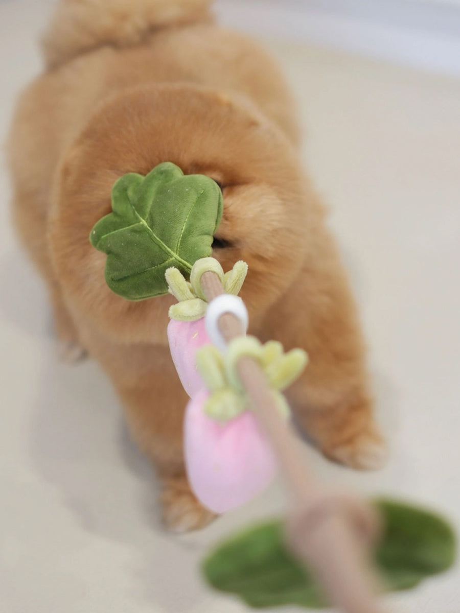 Pups-Bubs-jouet-en-corde-pour-chien-Strawberry-Vine