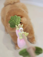Pups-Bubs-jouet-en-corde-pour-chien-Strawberry-Vine