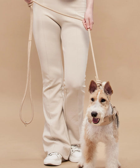 Pups-Bubs-laisse-en-corde-pour-chien-resistante-design-Rover-beige