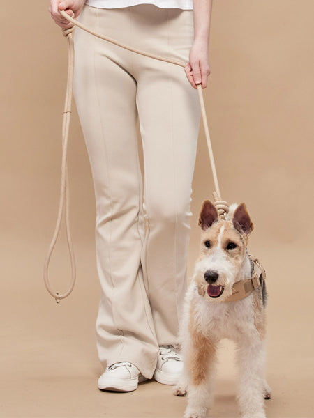 Pups-Bubs-laisse-en-corde-pour-chien-resistante-design-Rover-beige