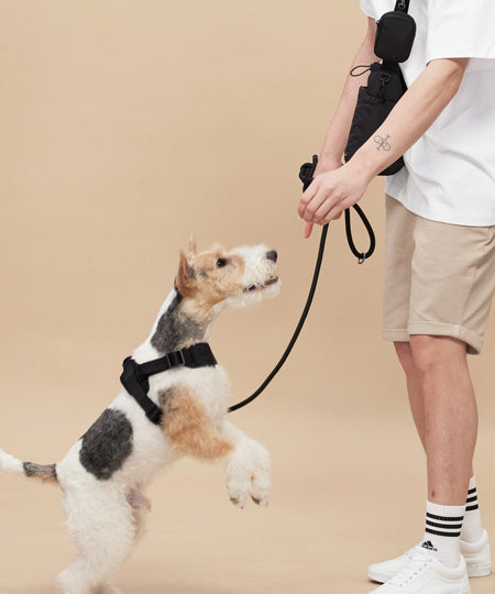 Pups-Bubs-laisse-en-corde-pour-chien-resistante-design-Rover-noir