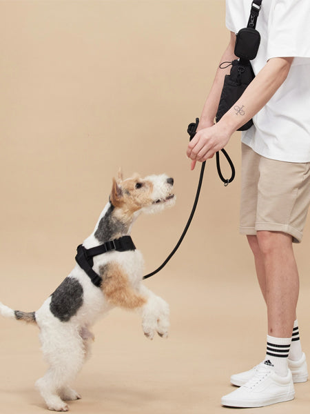 Pups-Bubs-laisse-en-corde-pour-chien-resistante-design-Rover-noir