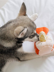 Pups-Bubs-peluche-fouille-pour-chien-2025-homard