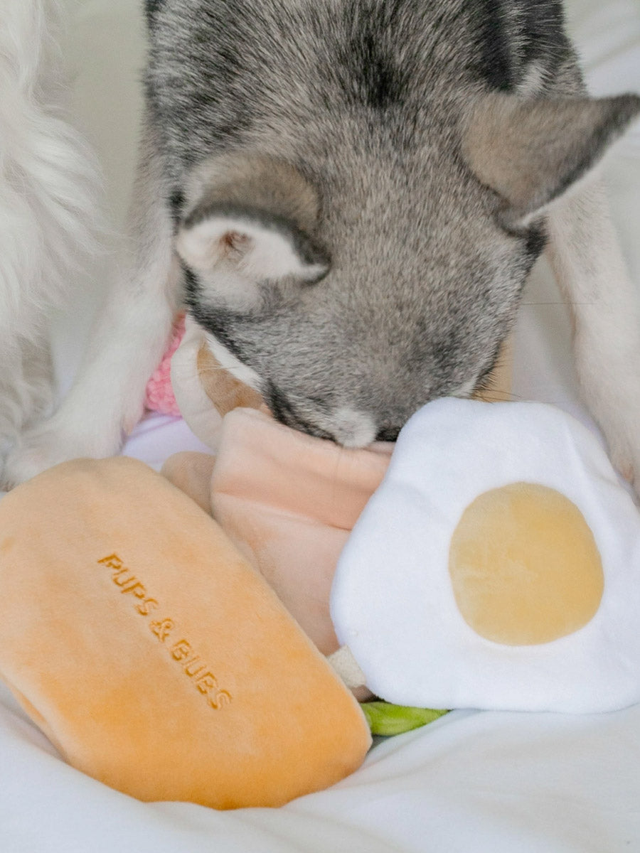 Pups-Bubs-peluche-fouille-pour-chien-2025-pita