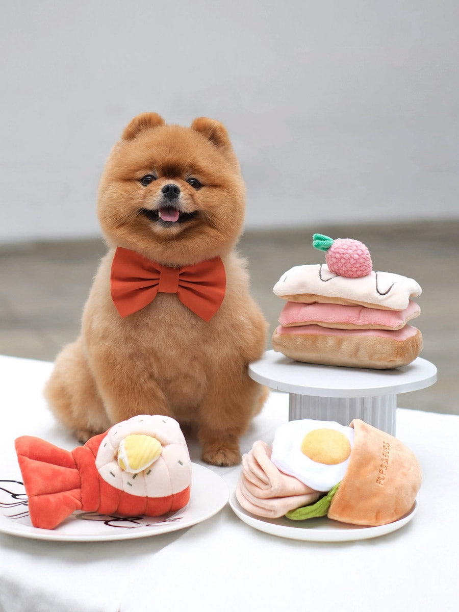 Pups-Bubs-peluche-fouille-pour-chien