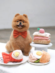 Pups-Bubs-peluche-fouille-pour-chien