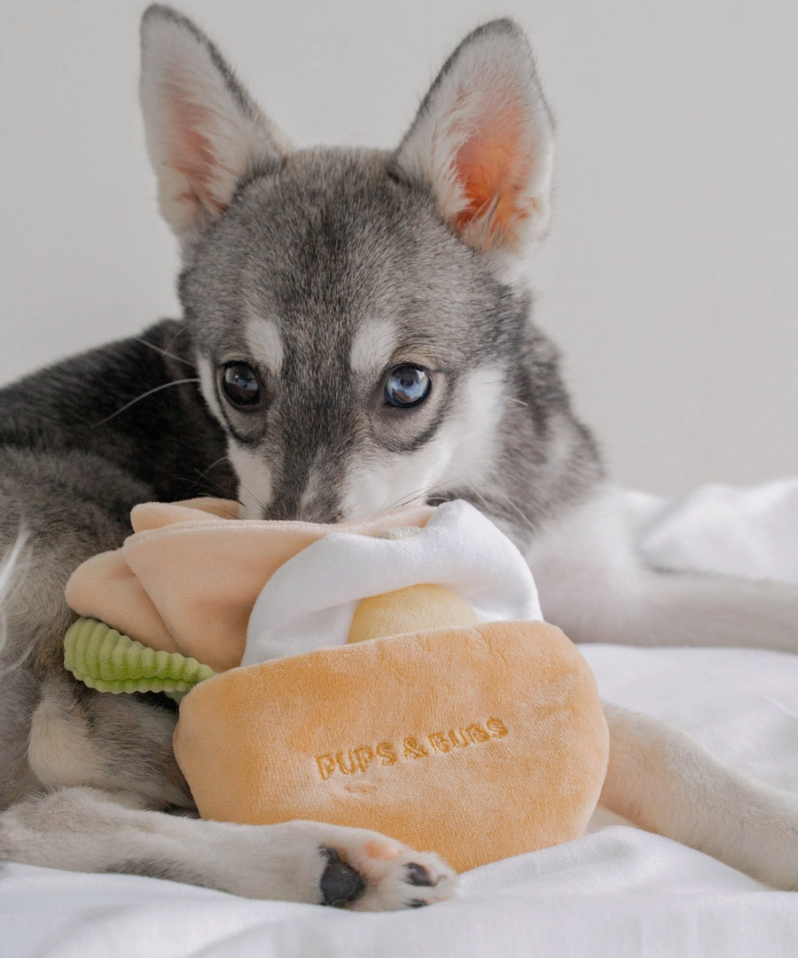 Pups-Bubs-peluche-fouille-pour-chien-2025-pita