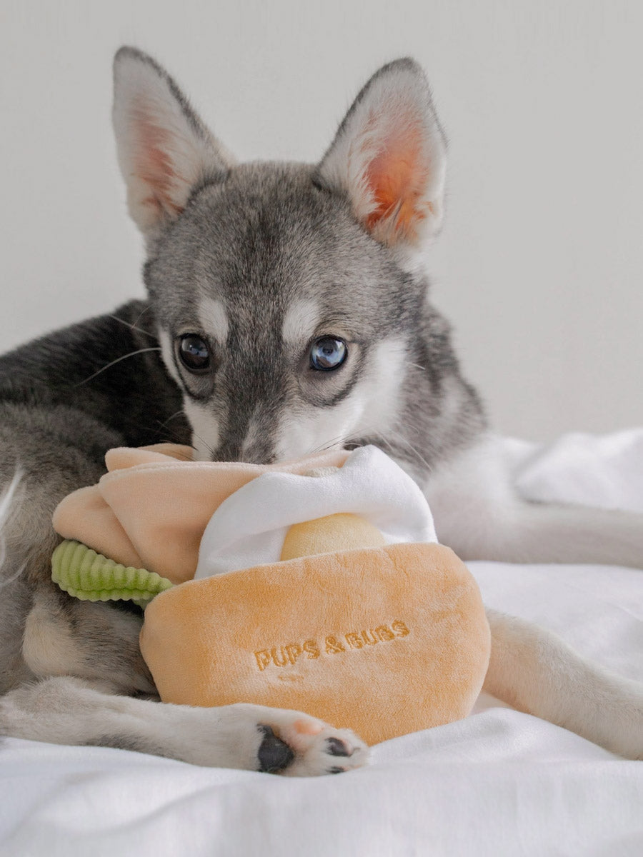 Pups-Bubs-peluche-fouille-pour-chien-2025-pita