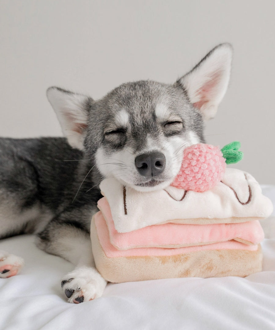 Pups-Bubs-peluche-fouille-pour-chien-Mille-Feuille-fraise