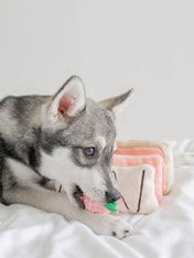 Pups-Bubs-peluche-fouille-pour-chien-Mille-Feuille-fraise