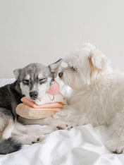 Pups-Bubs-peluche-fouille-pour-chien-Mille-Feuille-fraise