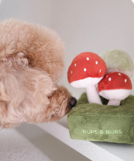 Pups-Bubs-peluche-fouille-pour-chien-champignon