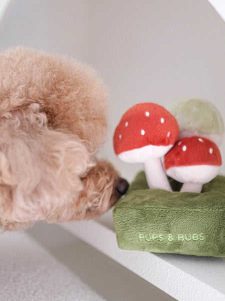 Pups-Bubs-peluche-fouille-pour-chien-champignon