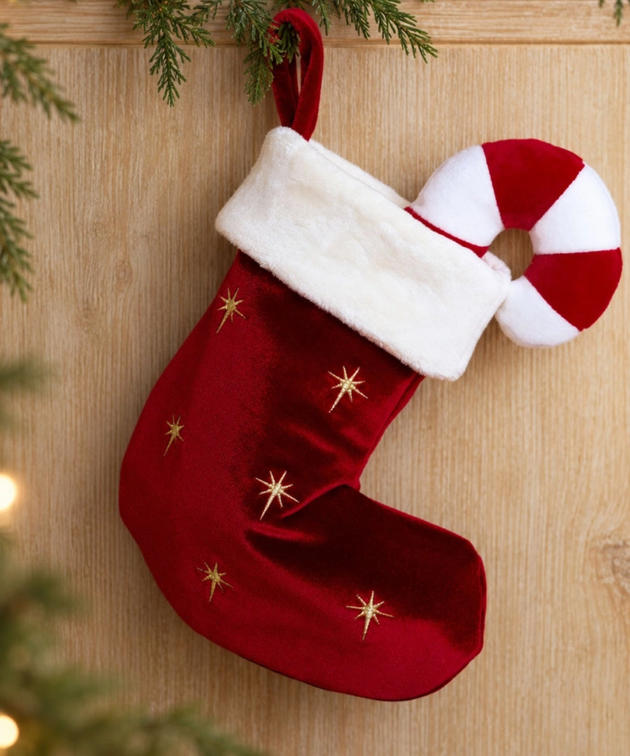 Pups-Bubs-peluche-fouille-pour-chien-chaussette-noel-Holiday-Stocking-Nosework