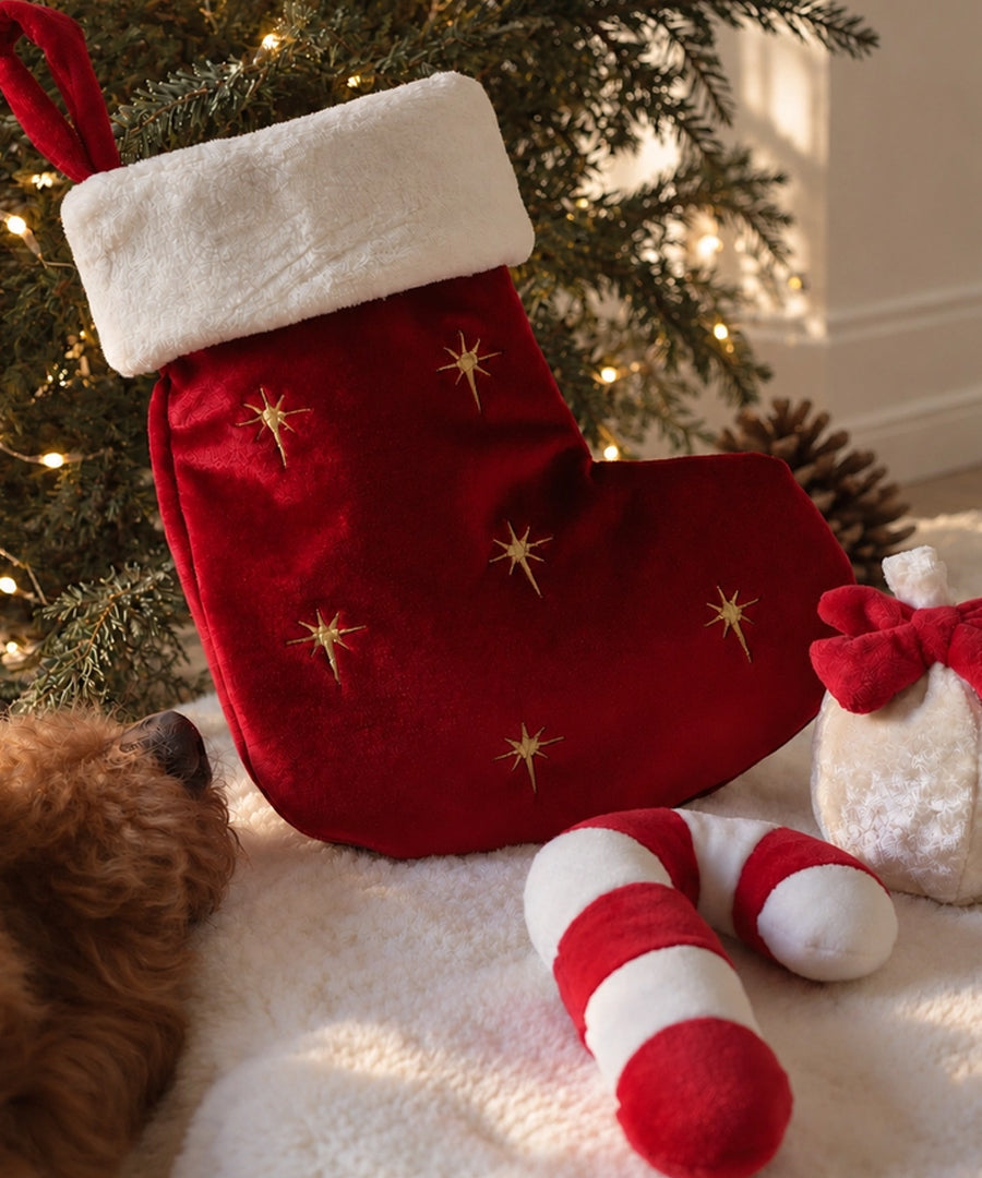 Pups-Bubs-peluche-fouille-pour-chien-chaussette-noel-Holiday-Stocking-Nosework