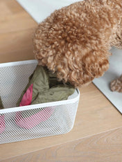 Pups-Bubs-peluche-fouille-pour-chien-chou-suisse