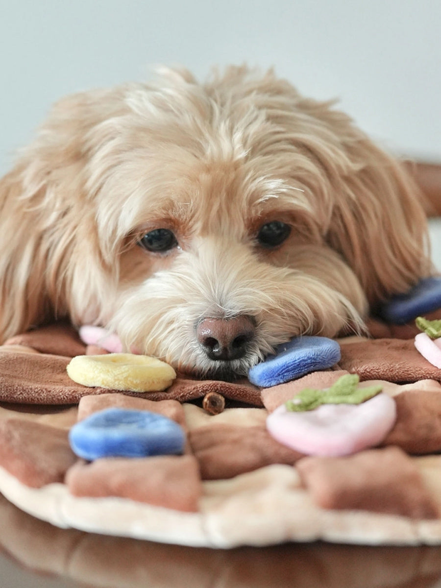 Pups-Bubs-peluche-fouille-pour-chien-crepe