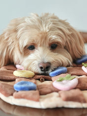 Pups-Bubs-peluche-fouille-pour-chien-crepe