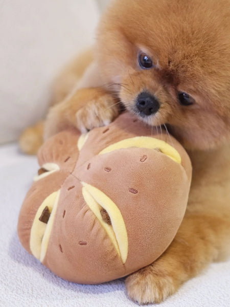Pups-Bubs-peluche-fouille-pour-chien-gateau-soufflee