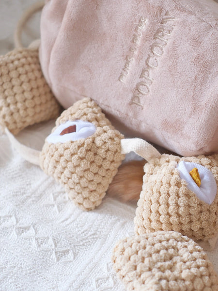 Pups-Bubs-peluche-fouille-pour-chien-pop-corn