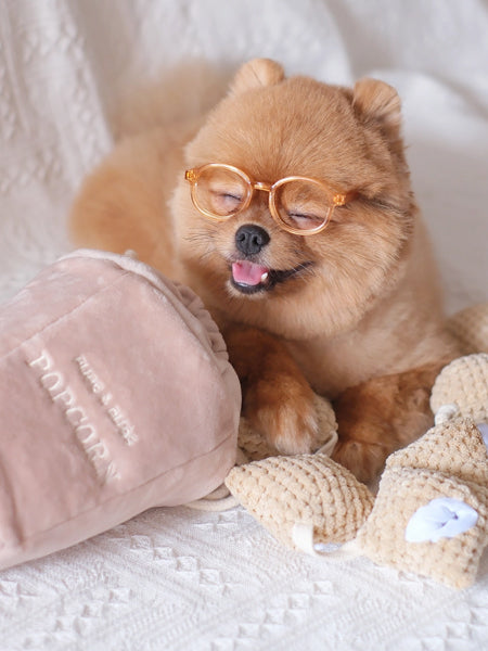 Pups-Bubs-peluche-fouille-pour-chien-pop-corn