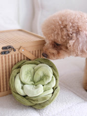 Pups-Bubs-peluche-fouille-pour-chien-salade