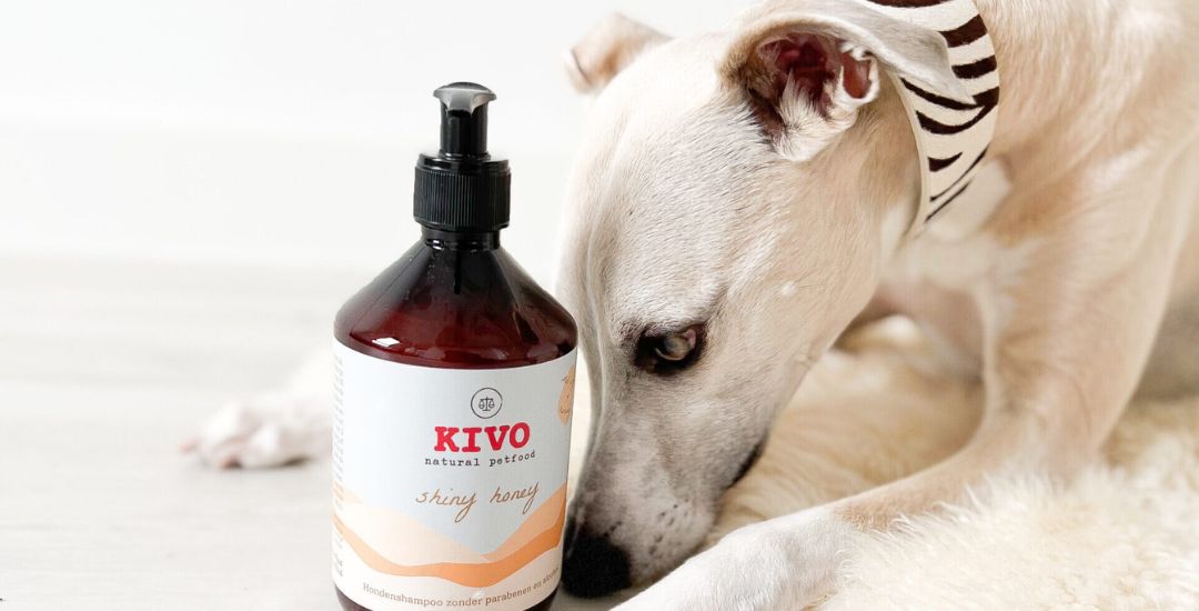 Shampoing pour chien - inooko