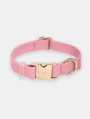 Shop-sunnytails-collier-waterproof-pour-chien-rose-parfait