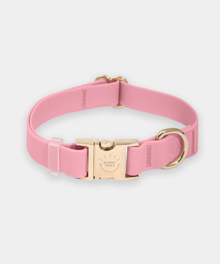 Shop-sunnytails-collier-waterproof-pour-chien-rose-parfait