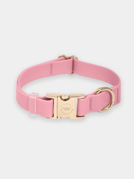 Shop-sunnytails-collier-waterproof-pour-chien-rose-parfait