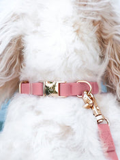 Shop-sunnytails-collier-waterproof-pour-chien-rose-parfait