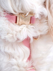 Shop-sunnytails-collier-waterproof-pour-chien-rose-parfait