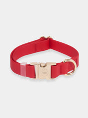 Shop-sunnytails-collier-waterproof-pour-chien-rouge