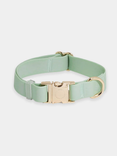       Shop-sunnytails-collier-waterproof-pour-chien-vert-pastel