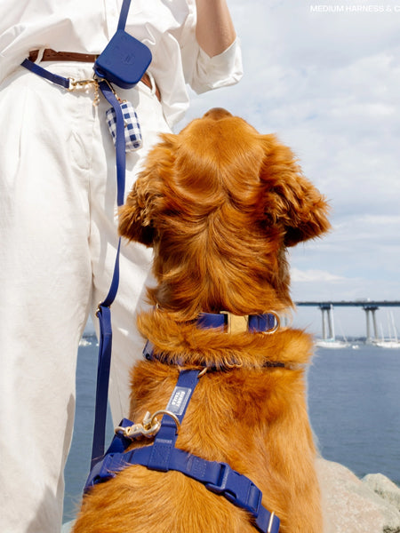Shop-sunnytails-harnais-waterproof-pour-chien-bleu-nuit